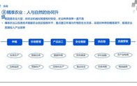 第九万维网官网，重构互联网时代的数字新生态