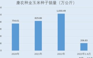 探索INFO域名在新站建设中的优势与考量