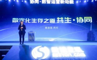 玖零互联，革新数字化服务，引领企业高效互联新纪元