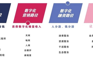 博洋网络，数字化时代的领航者，重塑商务与生活的边界