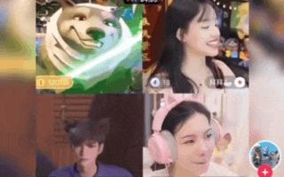 网站虚拟主机共享IP，概念、原理与应用解析