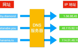 PP主机域名网使用经验，功能特点、性价比与用户评价大揭秘