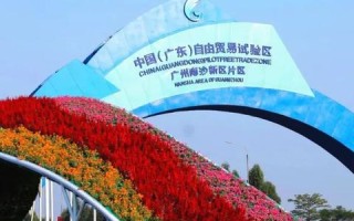 我的易网官网，重塑数字时代的个人品牌与在线影响力