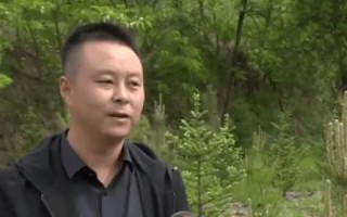 全来主机使用体验，如何高效利用资源，轻松提升工作效率