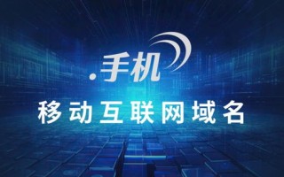 商城域名的中文域名故事，从起源到影响