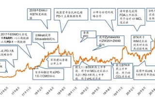 蛋蛋科技的稳定性探析，技术创新与长期发展的均衡之路
