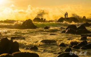 巨浪网络，重塑信息时代的浪花与潮汐