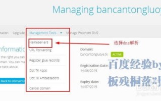 优化网站域名管理，从多域绑定到单一域名的策略与实践