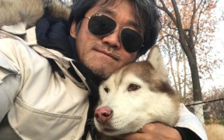 雪狼数据，揭秘数字时代的隐秘王者