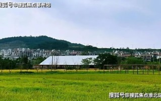 蓝队网络服务器租用价格，云南市场中的性价比之选