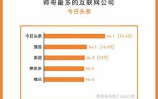 沈阳枫叶网络评测，透视优质网络服务商的标杆