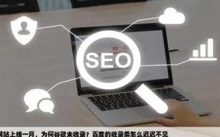 我的域名前几天被百度收录了，今天怎么在百度上搜不到了？