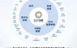 探索9城网络官网，搭建数字化桥梁，引领互联网新世界