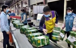 菜鸟指南，从零开始打造淘宝客网站