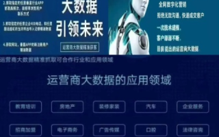 酷优数据官网，精准营销背后的神秘力量