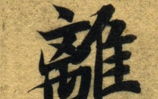优飞互联用户真实反馈，跨国沟通的新体验