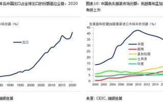 中国阳网在数字化时代的崛起与影响