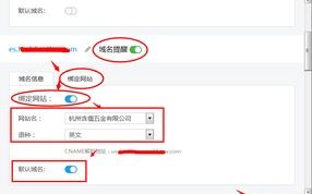 服务器上如何绑定一个域名，详细步骤与注意事项