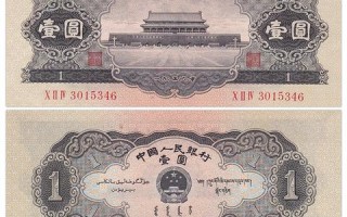 揭秘第五科技，从创新实力到市场应用，全面解析科技公司的崛起之路
