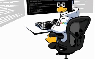 如何用虚拟主机安装Linux
