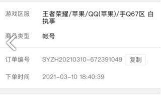利用免费空间与NS域名解析，打造无IP地址网站的实战指南