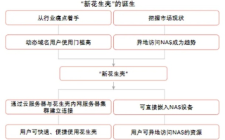 我有了一个免费的花生壳域名，如何解析？