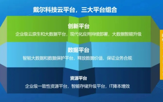一九互联，深度剖析其服务、优势与未来展望
