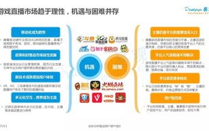 探索游戏网络新纪元，玩米网稳定性的深度剖析与体验分享