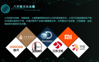 九八七网络，探索高品质网络服务的新标杆