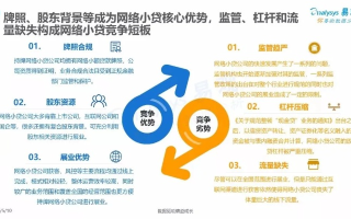 87互联公司的稳定性评估与服务优势解析