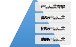 在INTERNET中，商业公司域名的独特后缀