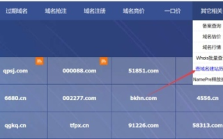 如何查到域名的注册时间，全面指南与实用技巧