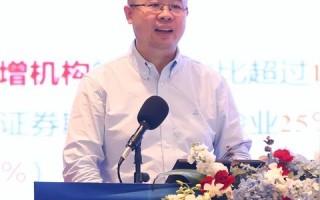 重塑商业未来，神州数据引领数字经济的变革