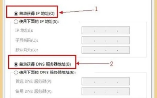 在线等AS3，从域名获取IP地址的详细解析
