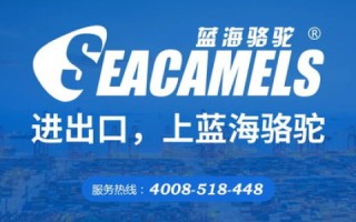 蓝科互联，互联网时代的信息化解决方案领军者