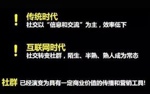 揭秘，为何低价域名拍卖频现，其背后隐藏的价值与谜团