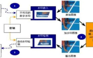 探讨久印网络稳定性，技术创新与用户体验的双向驱动