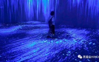 紫云官网，探索数字时代的云端艺术与科技交融