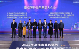 上海铭瑞网络，解析行业黑马的创新举措与发展潜力