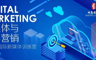 中域频道官网，探索数字变革时代下的媒体新生态