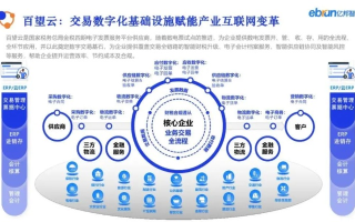 亿珀互联官网，重塑数字时代连接的未来握手