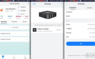 公网IP与动态域名解析，构建高效远程监控系统的关键