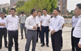 探秘中国数网，大规模数字网络的应用与前景