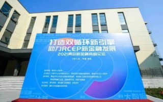 维斯塔网站，重塑未来商业发展的新引擎