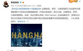 网络世界的动态稳定性，挑战、机遇与应对策略