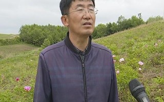 蓝鑫互联，探索数字时代的企业转型之路