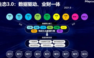 飞翔在蒙鸟云时代的新生态，数字孪生与智能鸟群管理的崛起