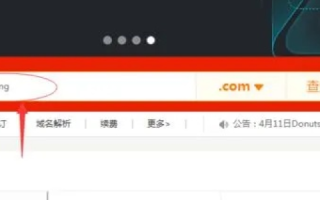 个人新注册CN域名受限，背后的原因与影响分析