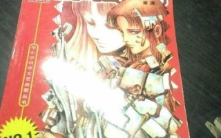 星河速网，探索极速互联网服务的优势与考量