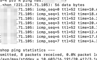 在Ping网关DNS和域名时出现了无资源问题，原因分析与解决策略